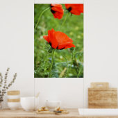 Impression encadrée par le panier (Cuisine)