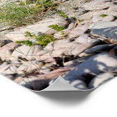 Impression estivale suédoise (Coin)