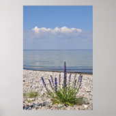 Impression estivale suédoise (Devant)