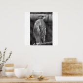 Impression Falcon B/W (Cuisine)