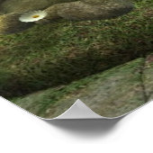 Impression Fée Lune (Coin)