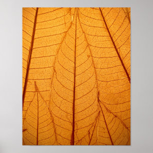 Impression feuille