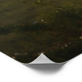Impression fine d'art Lonely Cow (Coin)