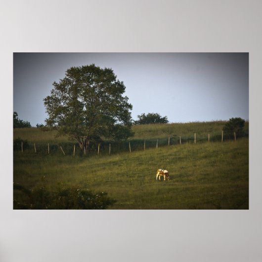 Impression fine d'art Lonely Cow (Devant)