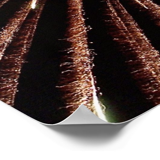 Impression Fireworks (Coin)