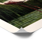 Impression Flamant rose rose Vintage (Coin)