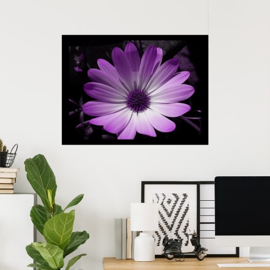 Impression Fleur de marguerite violette (Bureau à domicile)