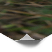 Impression Fleur sauvage blanche (Coin)