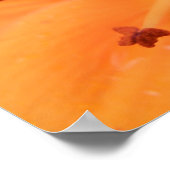 Impression florale de lys orange (Coin)