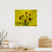 Impression florale jaune Lily (Cuisine)