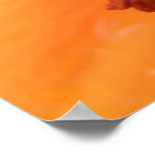 Impression Florale Lily orange (Coin)