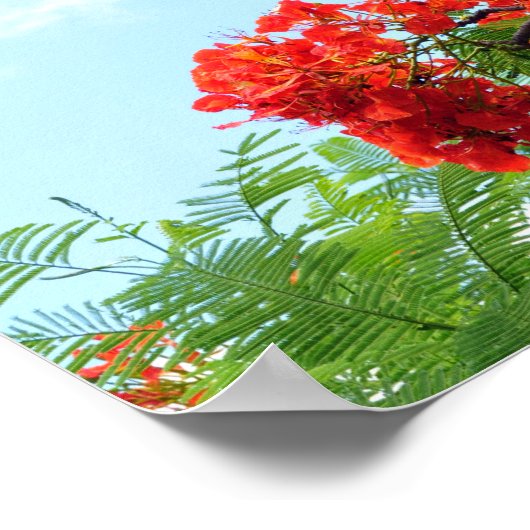 Impression Florale rouge hawaïenne (Coin)