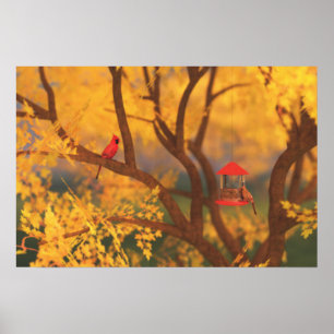 Impression Gardien de l'Automne