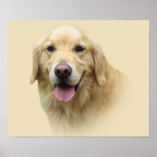 Impression Golden Retriever (Devant)