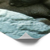 Impression Gorilla Silverback (Coin)