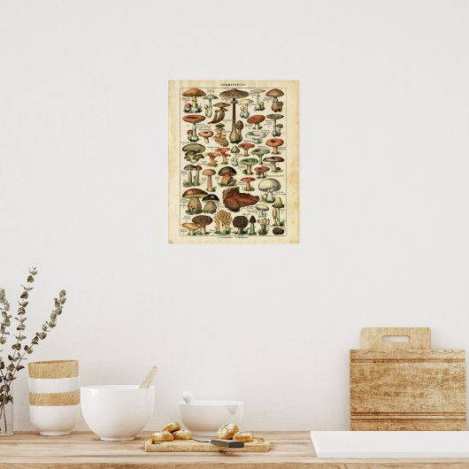 Impression graphique des champignons français anci (Cuisine)