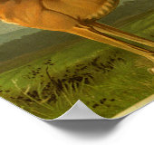 Impression Greyhound Vintage 1881 (Coin)