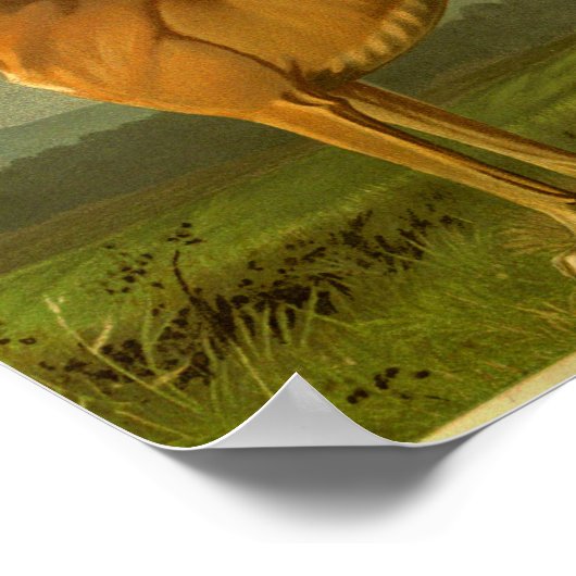 Impression Greyhound Vintage 1881 (Coin)