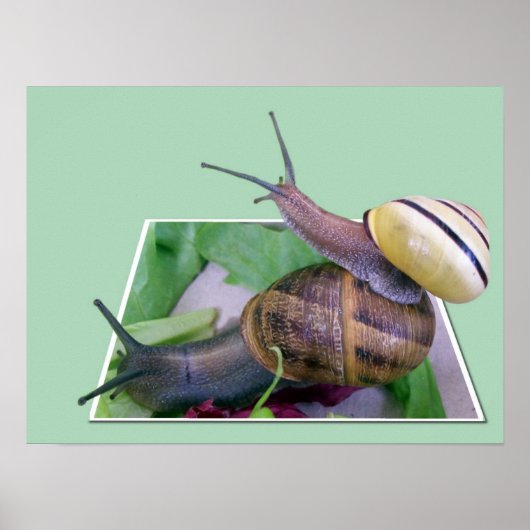 Impression hors limites (Devant)