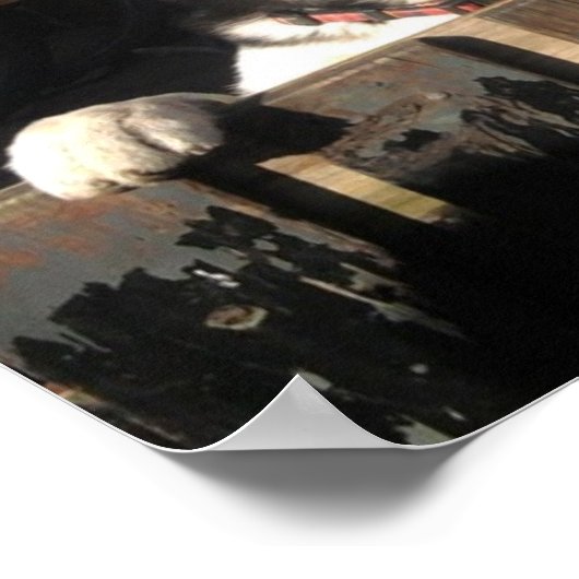 Impression Husky.. Pékin ! ! (Coin)