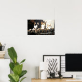 Impression Husky.. Pékin ! ! (Bureau à domicile)