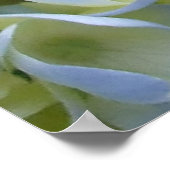 Impression Hydrangea (Coin)