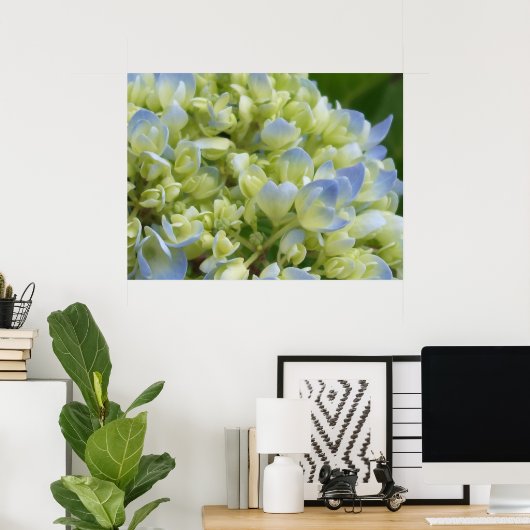 Impression Hydrangea (Bureau à domicile)