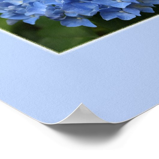 Impression Hydrangea (Coin)