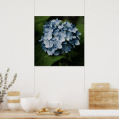 Impression Hydrangea Bleue 8515 (Cuisine)