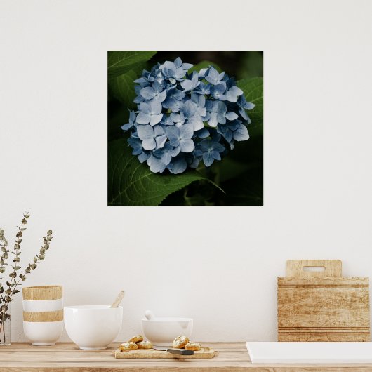 Impression Hydrangea Bleue 8515 (Cuisine)