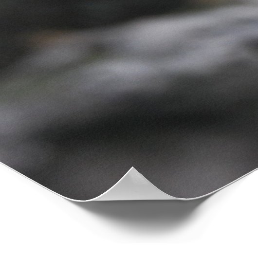 Impression Iguana bleue (Coin)