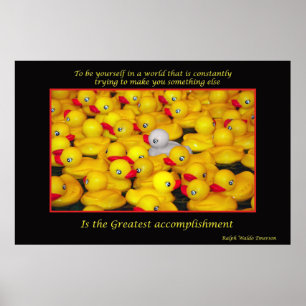 Impression inspirante de canards en caoutchouc