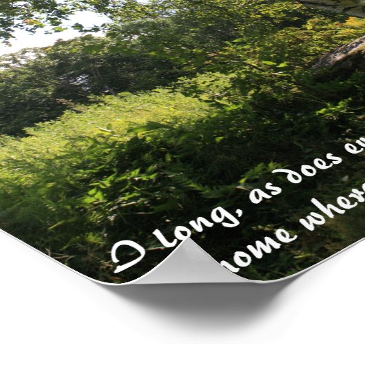 Impression Inspirationnelle Birch Tree (Coin)