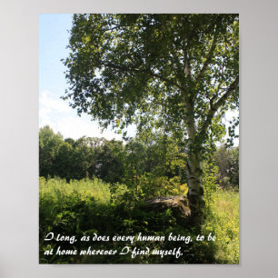 Impression Inspirationnelle Birch Tree
