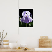 Impression Iris pourpre 8393 (Cuisine)