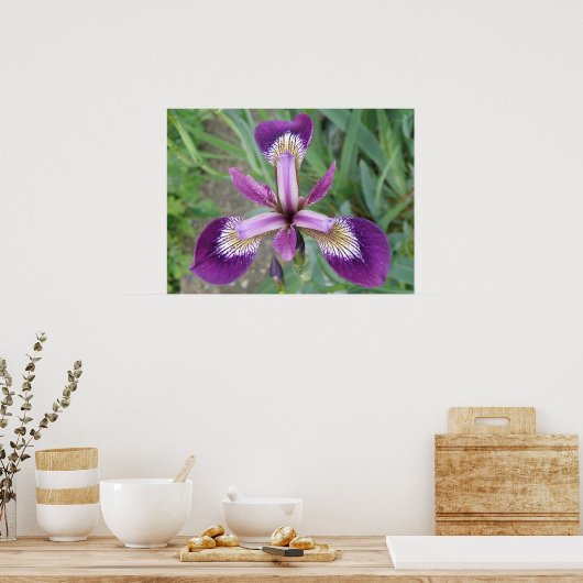 Impression Iris violet (Cuisine)