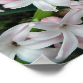 Impression Jacinthes (Coin)
