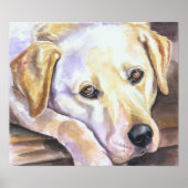 Impression Labrador Retriever (Devant)