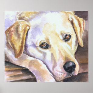 Impression Labrador Retriever