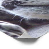 Impression léopard (Coin)