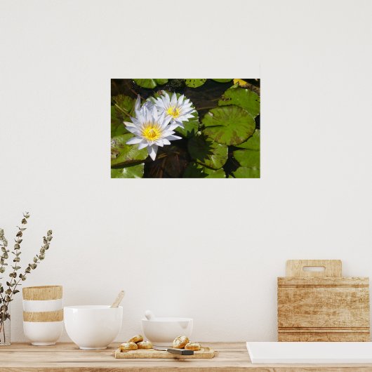 Impression Lily Pad (Cuisine)