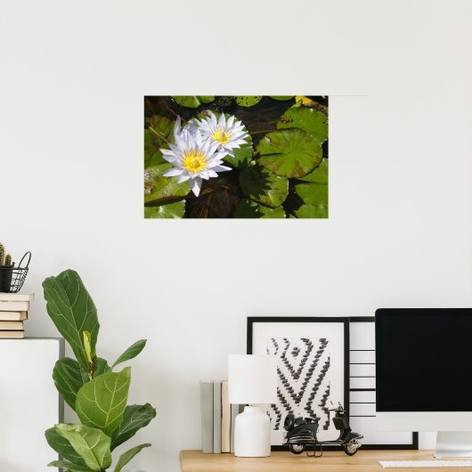 Impression Lily Pad (Bureau à domicile)