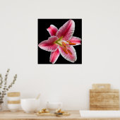 Impression Lily Stargazer (Cuisine)
