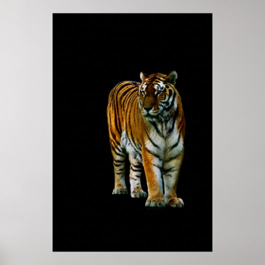 Impression Lin Hu (Devant)