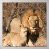 Impression Lion et Lion Cub (Devant)