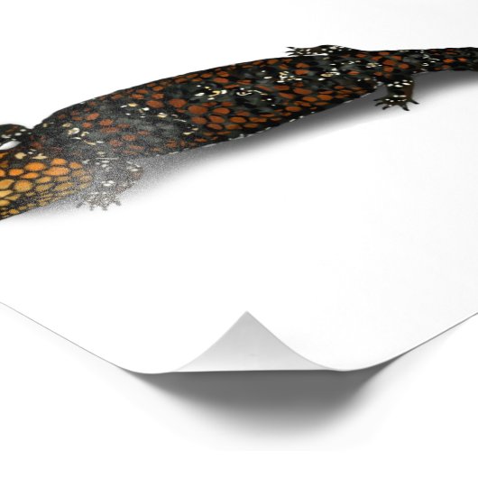 Impression Lizard à fond doré (Coin)