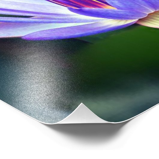 Impression Lotus Flower (Coin)