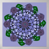 Impression Lotus Star (Devant)