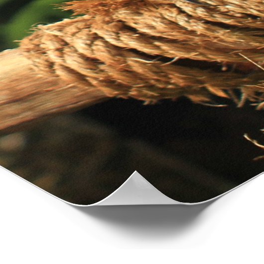 Impression Macaw bleu et jaune (Coin)