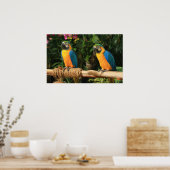 Impression Macaw bleu et jaune (Cuisine)